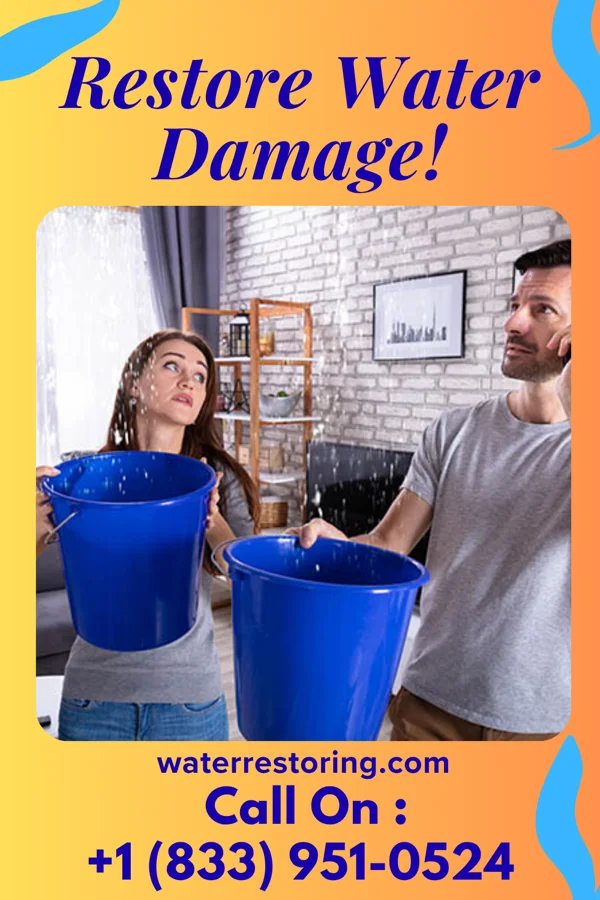 water restoration Coastal Recovery Brothers DeLand